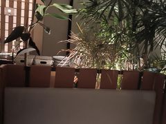 -馋嘴猫北京食堂·烤鸭·宵夜(亚运村店)