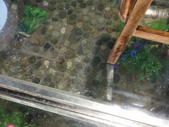 -印象江南(东栅店)