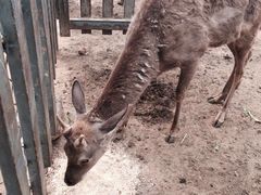 -意大利农场度假村