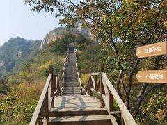 -大岭沟猕猴桃谷风景区
