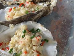 -麻奢鸽农庄·梦里水乡