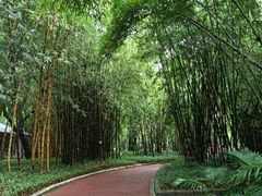 -晓港公园