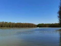 -上海海湾国家森林公园