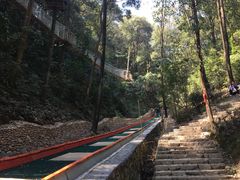 -衢州大荫山丛林飞越探险乐园