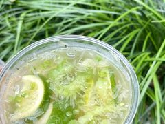 -炖物24章·顺时轻养茶(黄龙店)