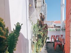 -Eckl’s爱氏热狗(猫街店)