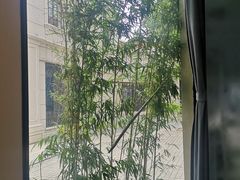 -子福慧(虹桥店)