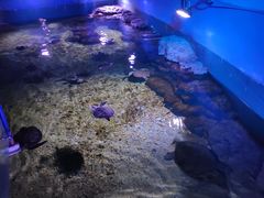 -临沂极地海洋王国
