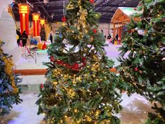 -宁波冰雪大世界(北仑区)