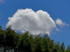 -藏龙百瀑漂流