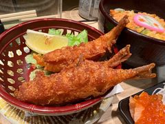-大起水产回转寿司(道顿堀店)