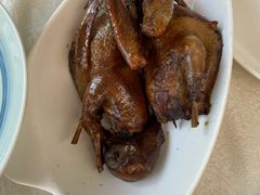 -食家鸽园