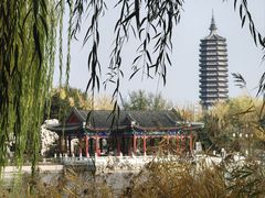 -西海子公园