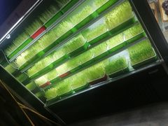 -番食园鲜食火锅(高新店)