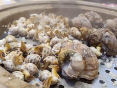 花螺-锅上蒸·特色蒸汽海鲜(龙洞店)
