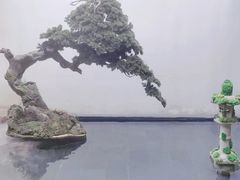 -觀芷隐轩
