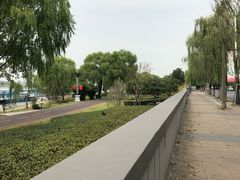 -宋记饼家(石门二路店)