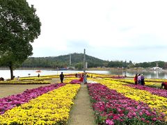 -上海月湖雕塑公园