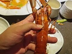 -虾胡闹·澳洲小龙虾·烧烤(福田鲨鱼店)