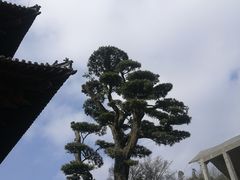 -径山寺