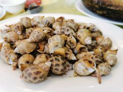 白灼花螺-波记美食店·现捞海鲜