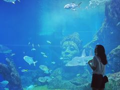 -暹罗海洋世界