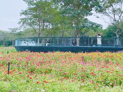 -海珠湖公园
