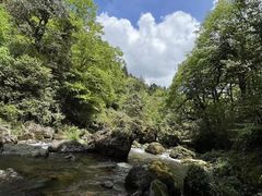 -龙苍沟森林公园