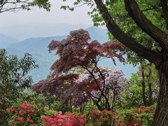 -莫干山风景区