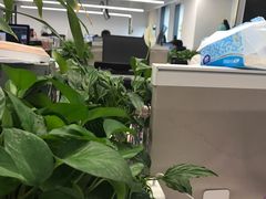 -唱吧麦颂ktv(紫金大厦店)