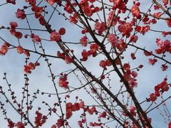 -苏州古运河游船(新市桥码头)