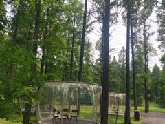 -黄海国家森林公园