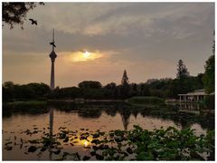 -中央广播电视塔