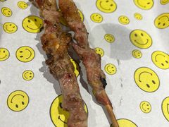 招牌红柳羊肉串-新疆烧烤王(广灵店)