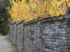 -三圣花乡旅游区