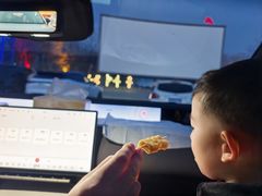 -枫花园汽车电影院(朝阳公园店)