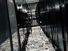 -杭州桐庐康莱德酒店西餐厅-舍