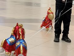 -杉杉奥特莱斯广场(哈尔滨店)
