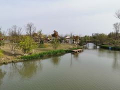 -上海长兴岛郊野公园