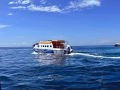 -东姑阿都拉曼海洋公园