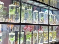 -广东中医药博物馆