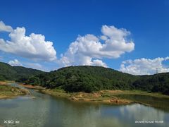-东莞市大岭山森林公园