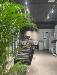 -Will+ Hair Studio