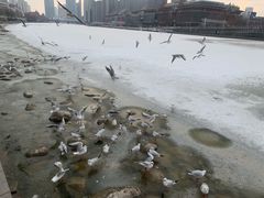 -海河游船(古文化街码头)
