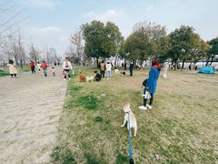 -栖露营camping·天幕烧烤·团建拓展·采摘营地