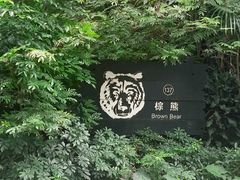 -广州长隆野生动物世界