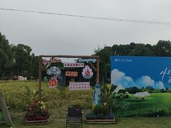 -洪湖家庭农场·团建·露营·会议