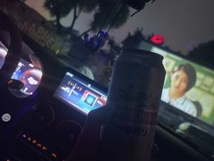 -枫花园汽车电影院(朝阳公园店)