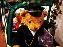 -济州岛泰迪熊博物馆