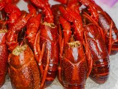 -洪福龙虾